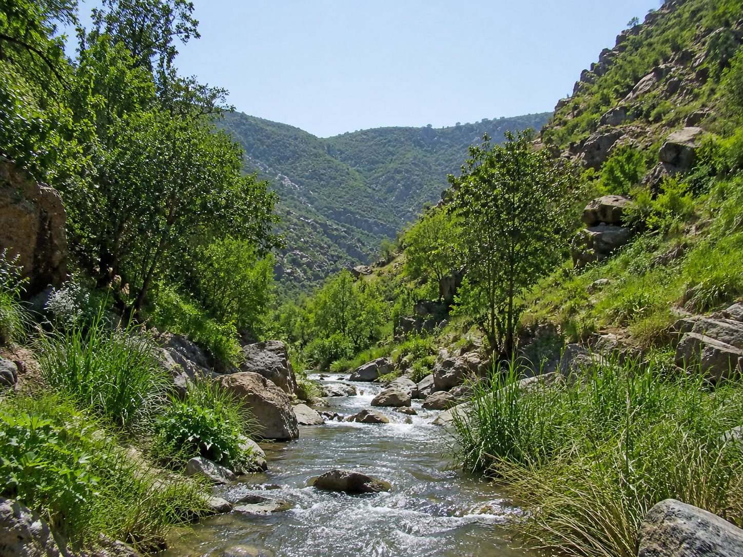 وادي الجنابين في بلجرشي